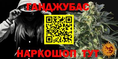 индика Аргун