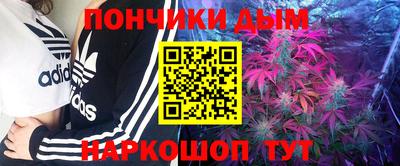 индика Аргун