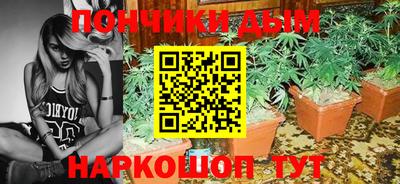 индика Аргун