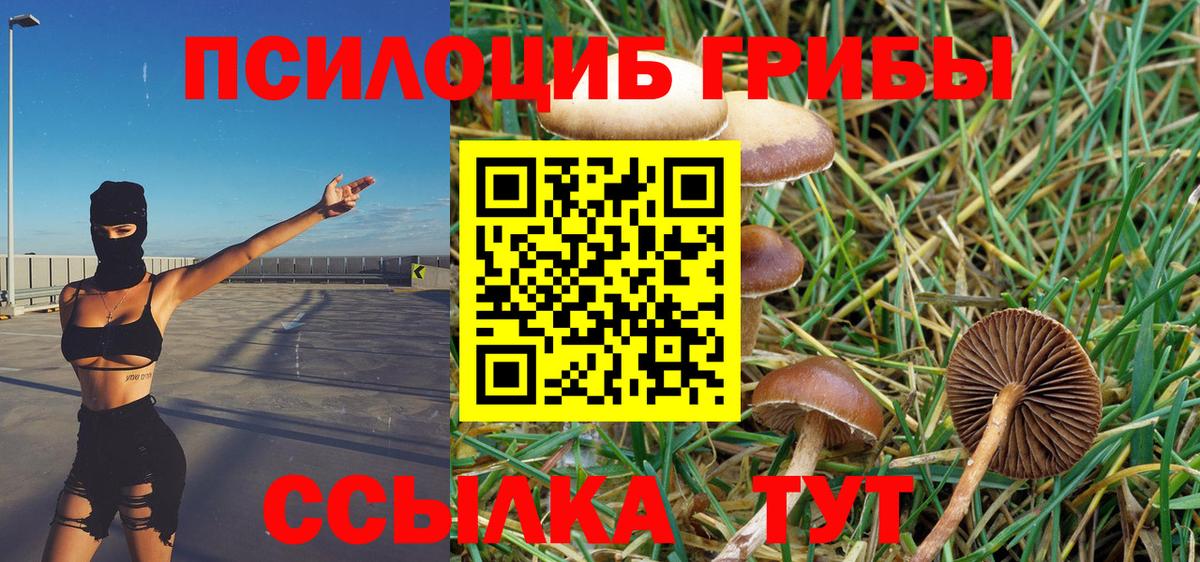 Галлюциногенные грибы Magic Shrooms Великий Устюг