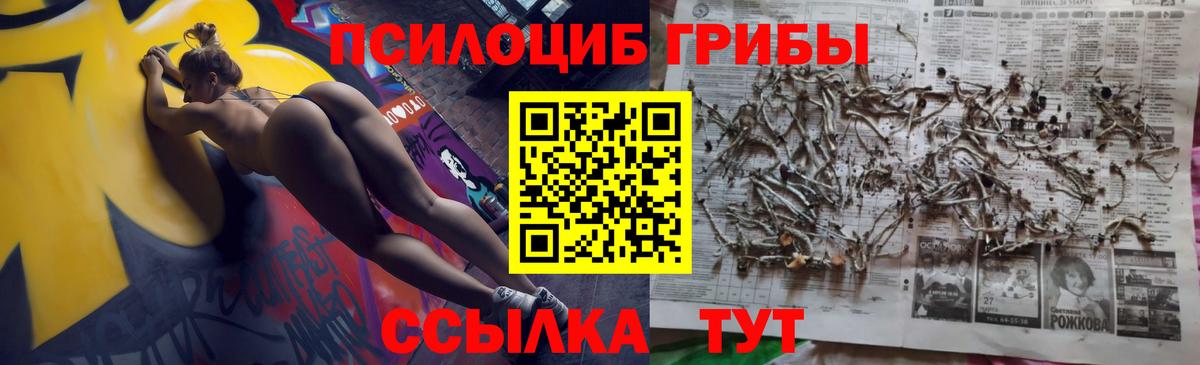 Великий Устюг  Галлюциногенные грибы MAGIC MUSHROOMS  Вход с VPN 